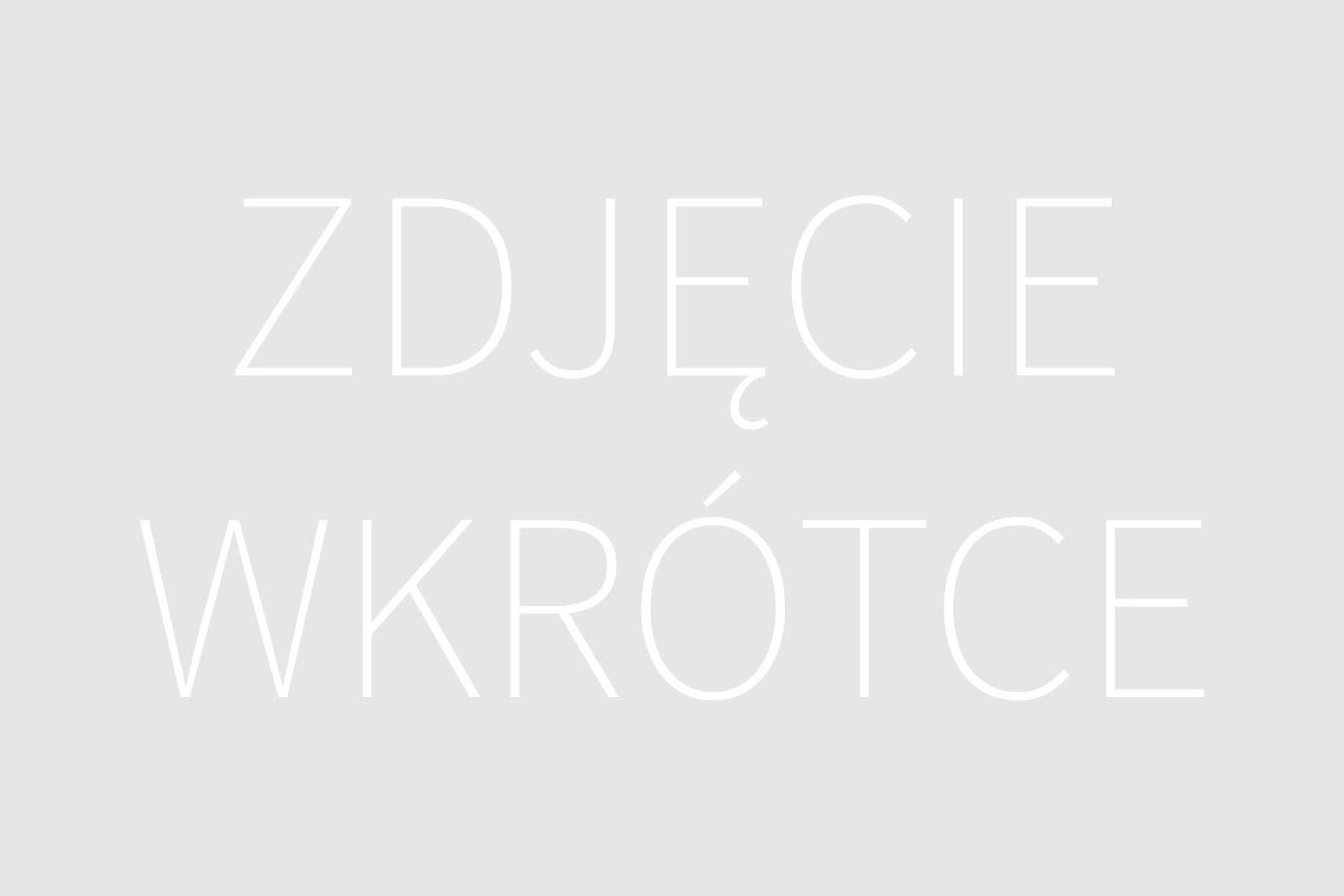 Ilustracja poglądowa do artykułu w kategorii Moda i Styl - Postacie w Grach Video